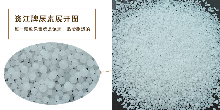 尿(niao)素生産(chǎn)廠家