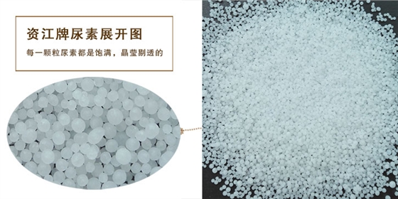 尿(niao)素顆粒(lì)